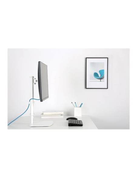 SOPORTE MONITOR ESCRITORIO NEWSTAR FPMA-D890 10-30 WHITE