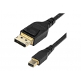 Cable Startech DisplayPort Macho / Mini DisplayPort Macho 2M Black