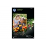 Papel HP Everyday Photo Paper 25H